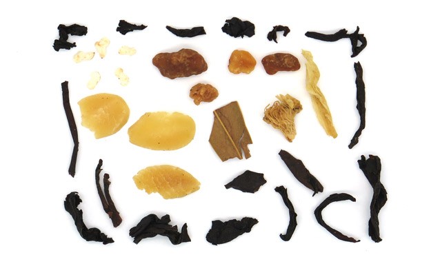 fthinopwrini-sonata-562-amxt